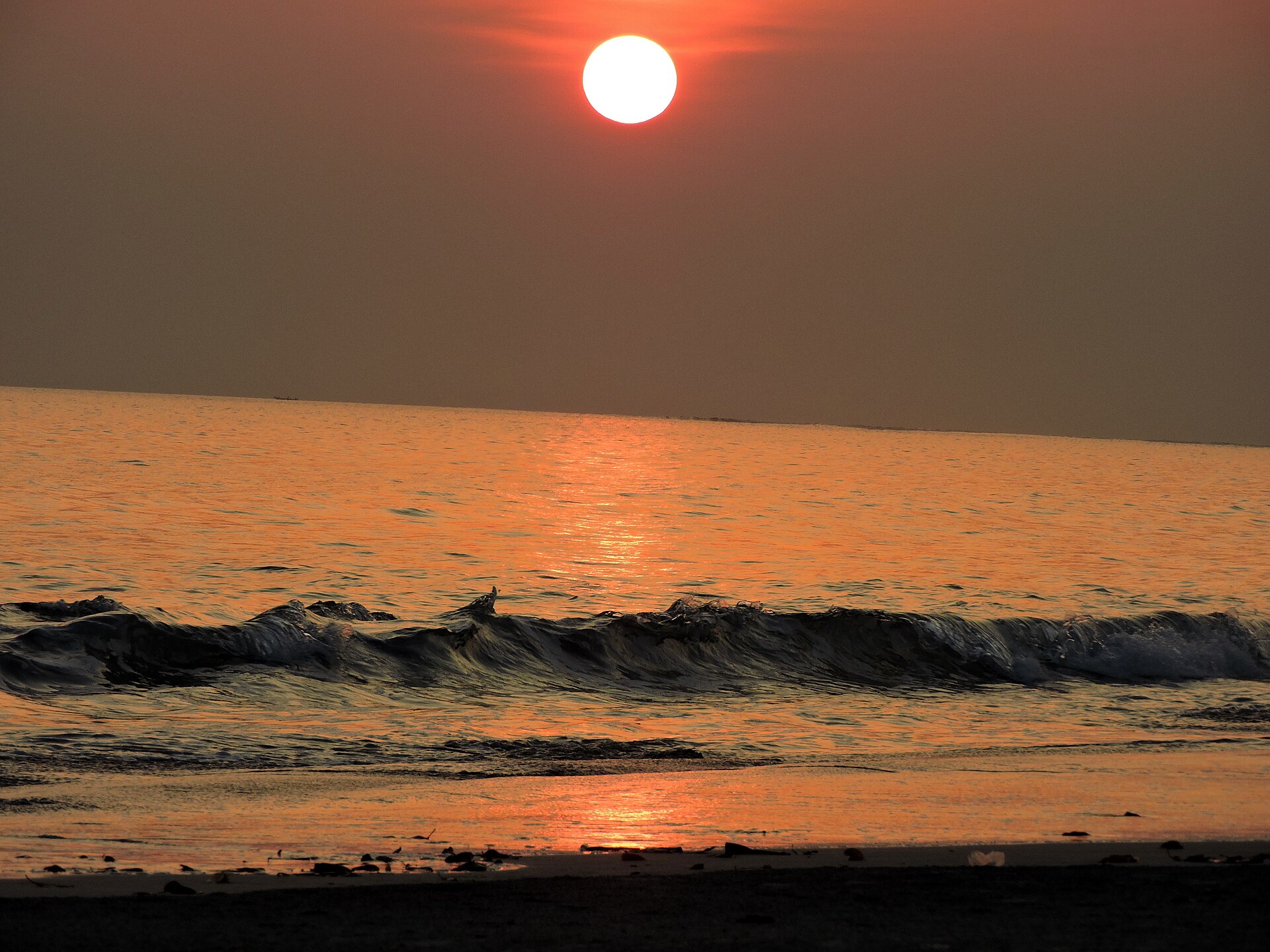 Andaman Island Escape tour package from Ahmedabad
